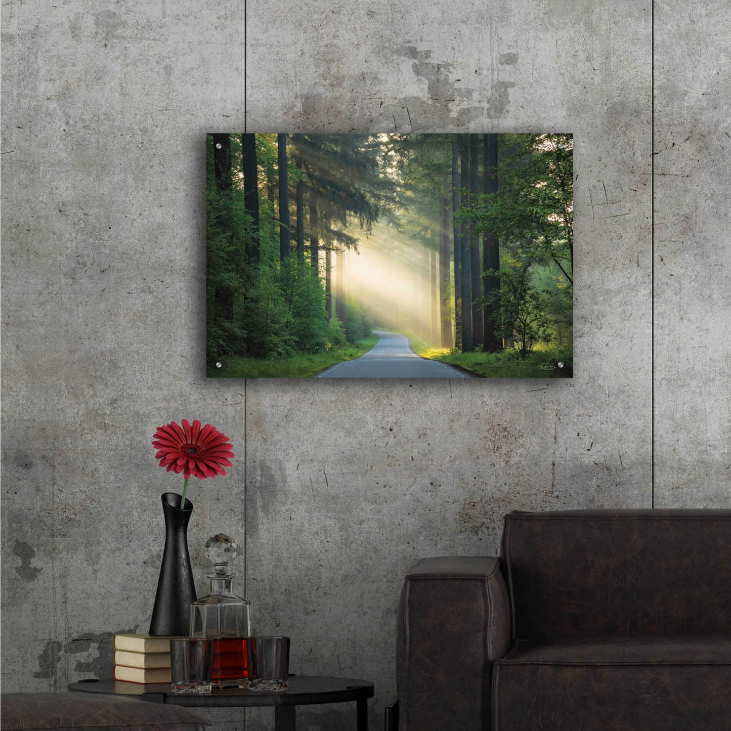 Epic Art 'The Road' by Martin Podt, Acrylic Glass Wall Art,36x24