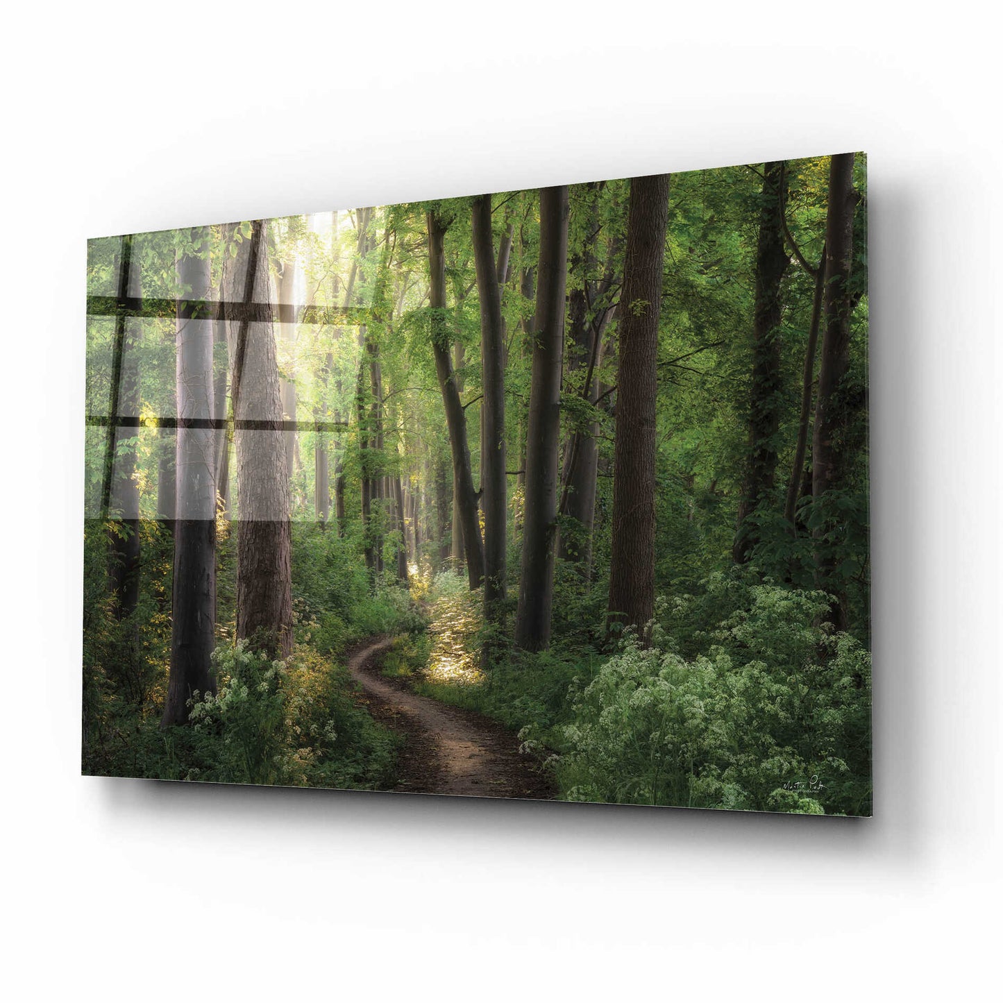 Epic Art 'Spring Chaos' by Martin Podt, Acrylic Glass Wall Art,16x12