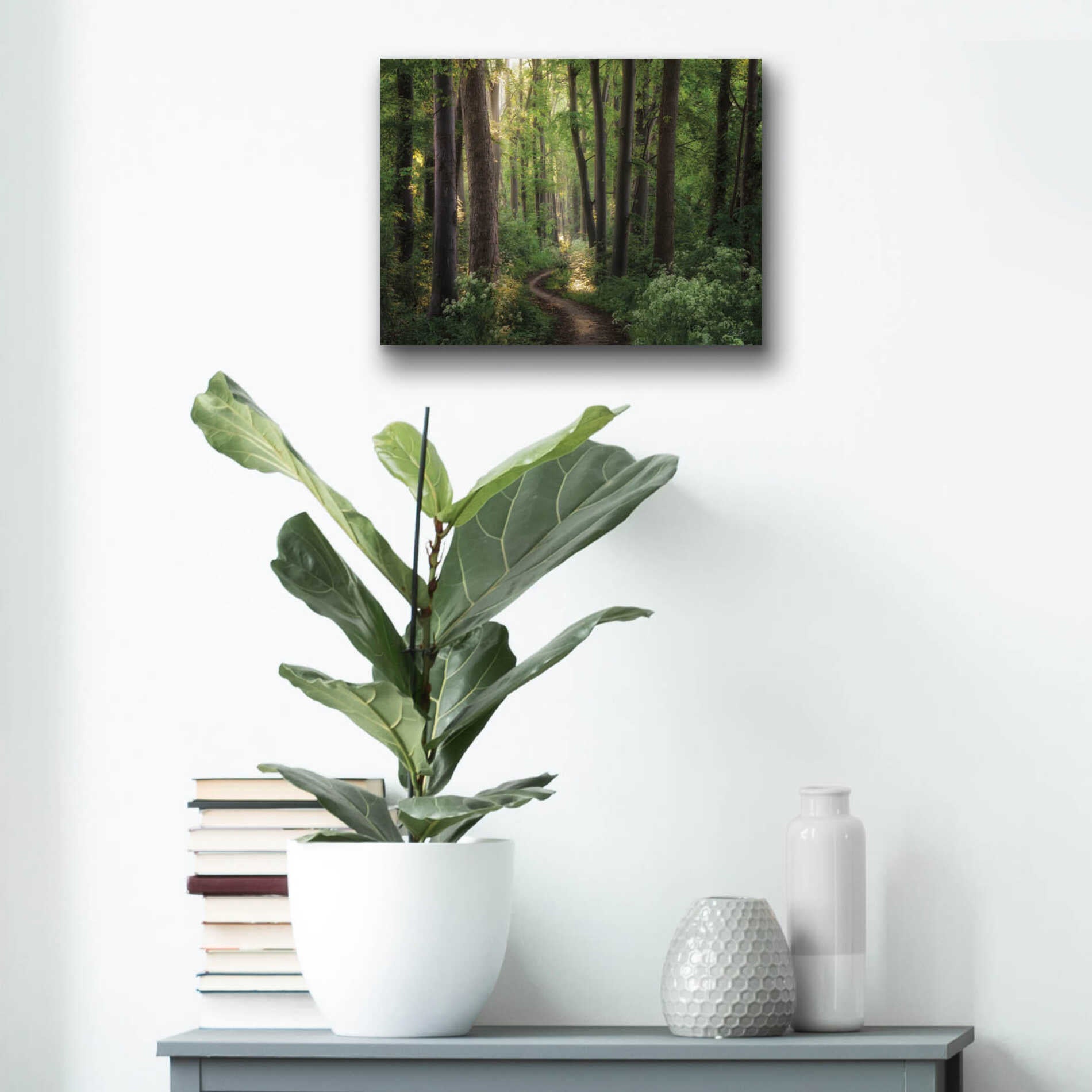 Epic Art 'Spring Chaos' by Martin Podt, Acrylic Glass Wall Art,16x12