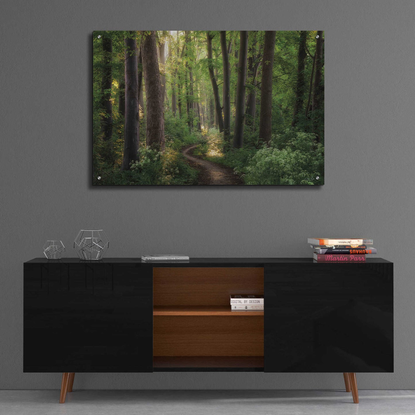 Epic Art 'Spring Chaos' by Martin Podt, Acrylic Glass Wall Art,36x24