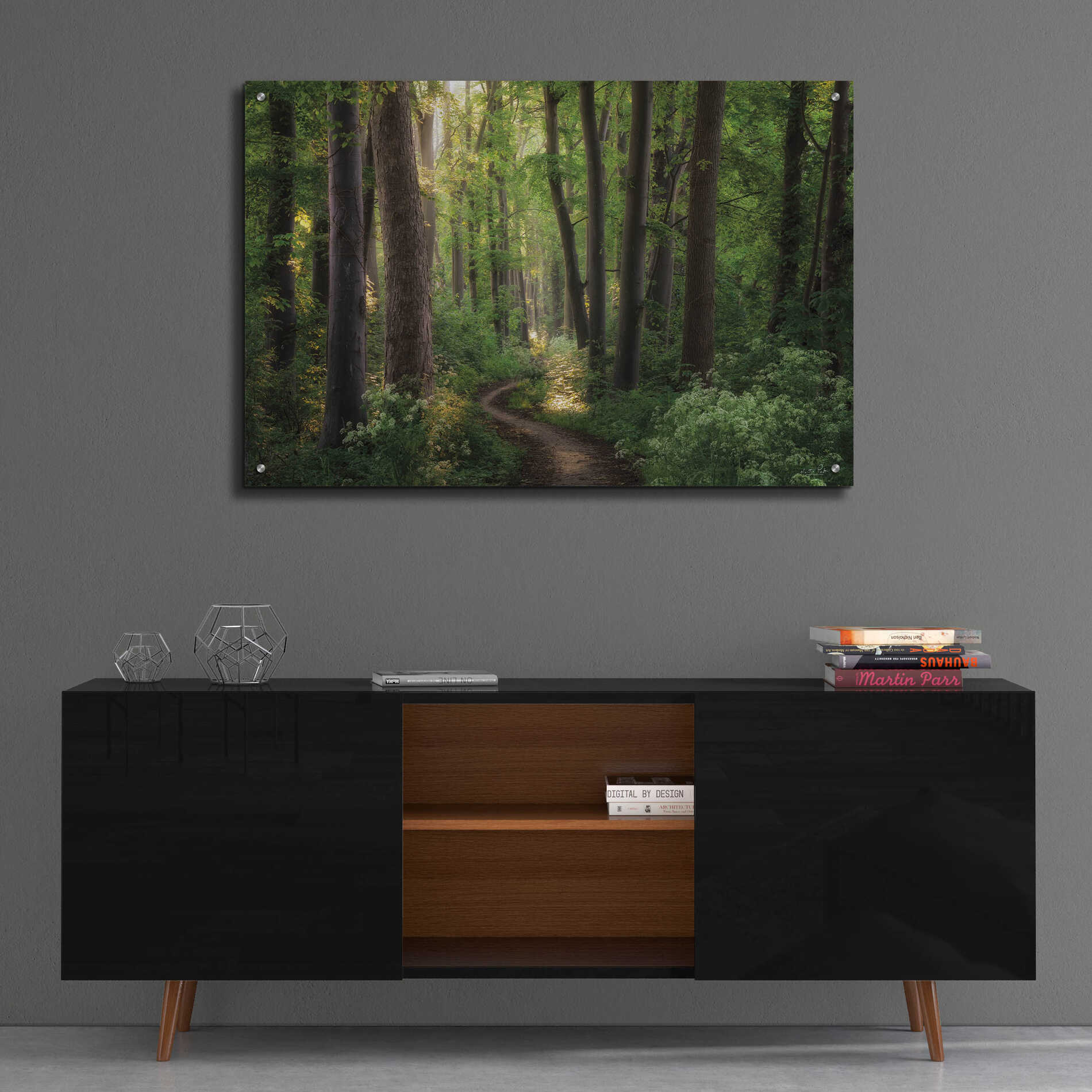 Epic Art 'Spring Chaos' by Martin Podt, Acrylic Glass Wall Art,36x24