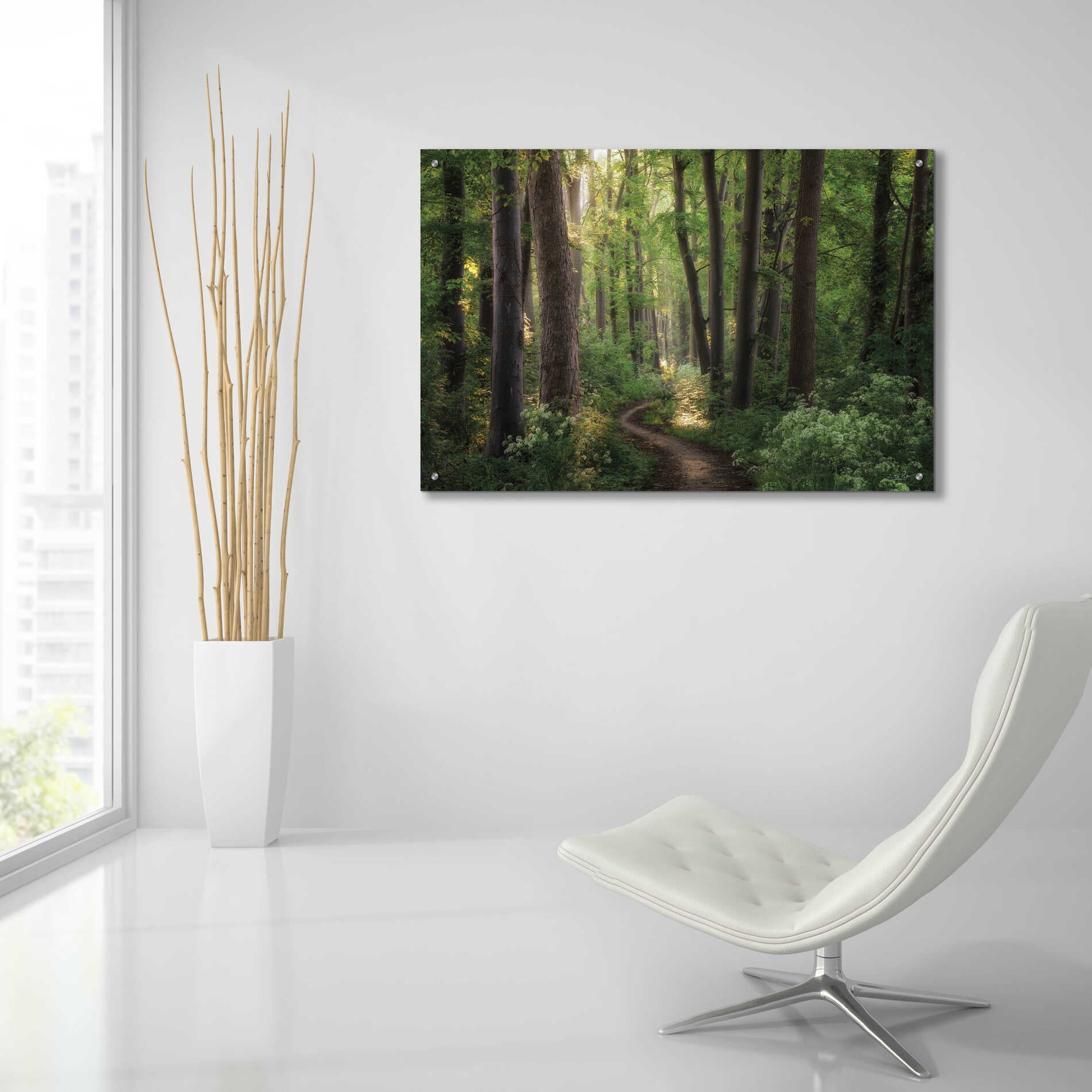 Epic Art 'Spring Chaos' by Martin Podt, Acrylic Glass Wall Art,36x24