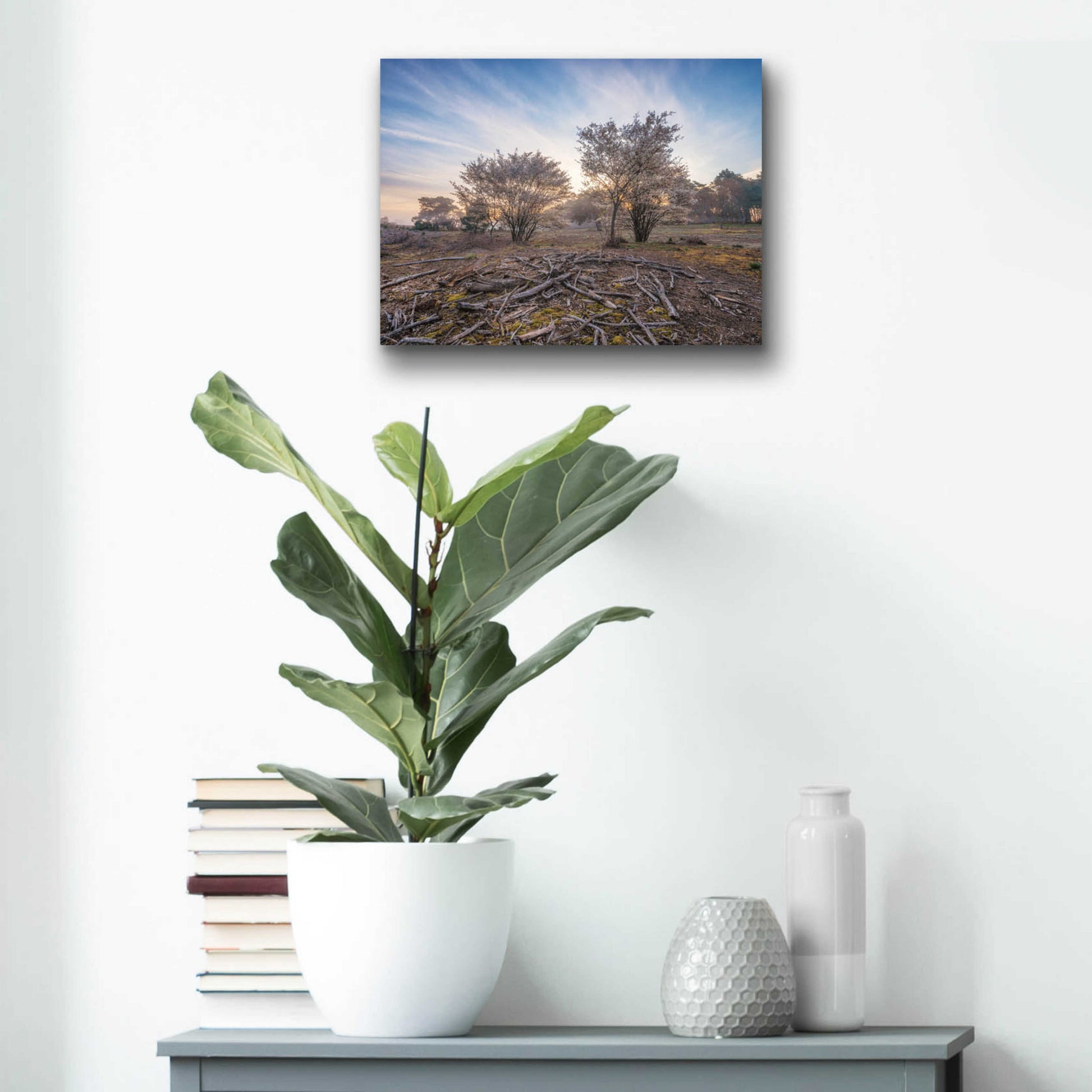 Epic Art 'Spring Bushes at Sunrise' by Martin Podt, Acrylic Glass Wall Art,16x12