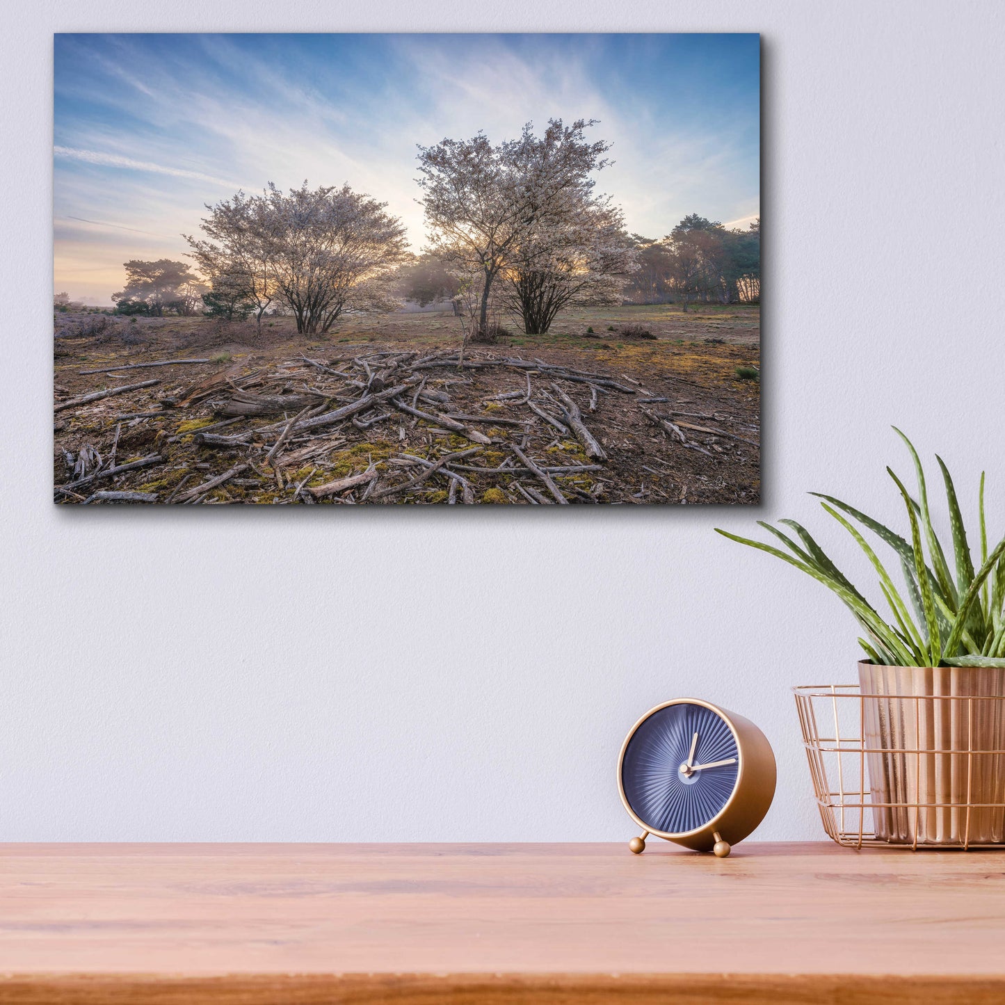 Epic Art 'Spring Bushes at Sunrise' by Martin Podt, Acrylic Glass Wall Art,16x12