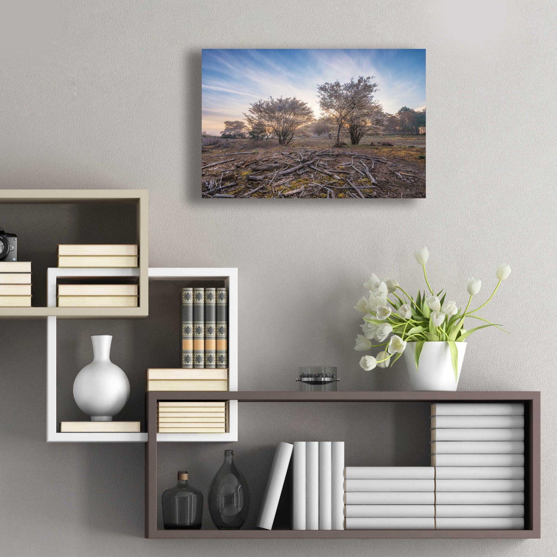 Epic Art 'Spring Bushes at Sunrise' by Martin Podt, Acrylic Glass Wall Art,24x16