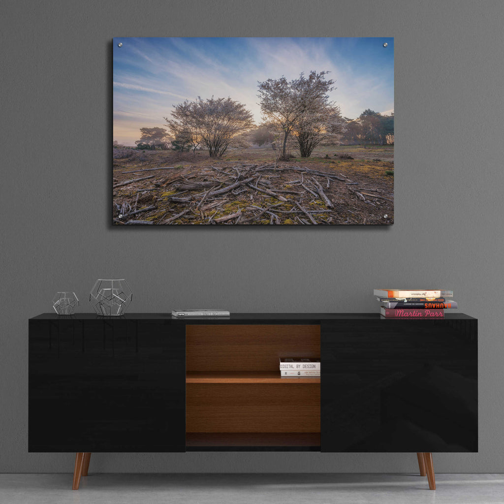 Epic Art 'Spring Bushes at Sunrise' by Martin Podt, Acrylic Glass Wall Art,36x24