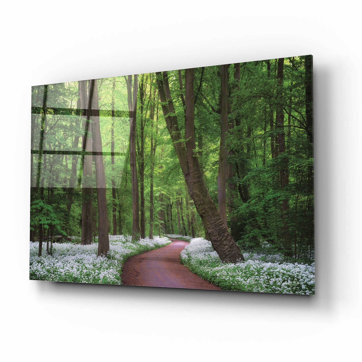 Epic Art 'Fragrant Road' by Martin Podt, Acrylic Glass Wall Art,16x12