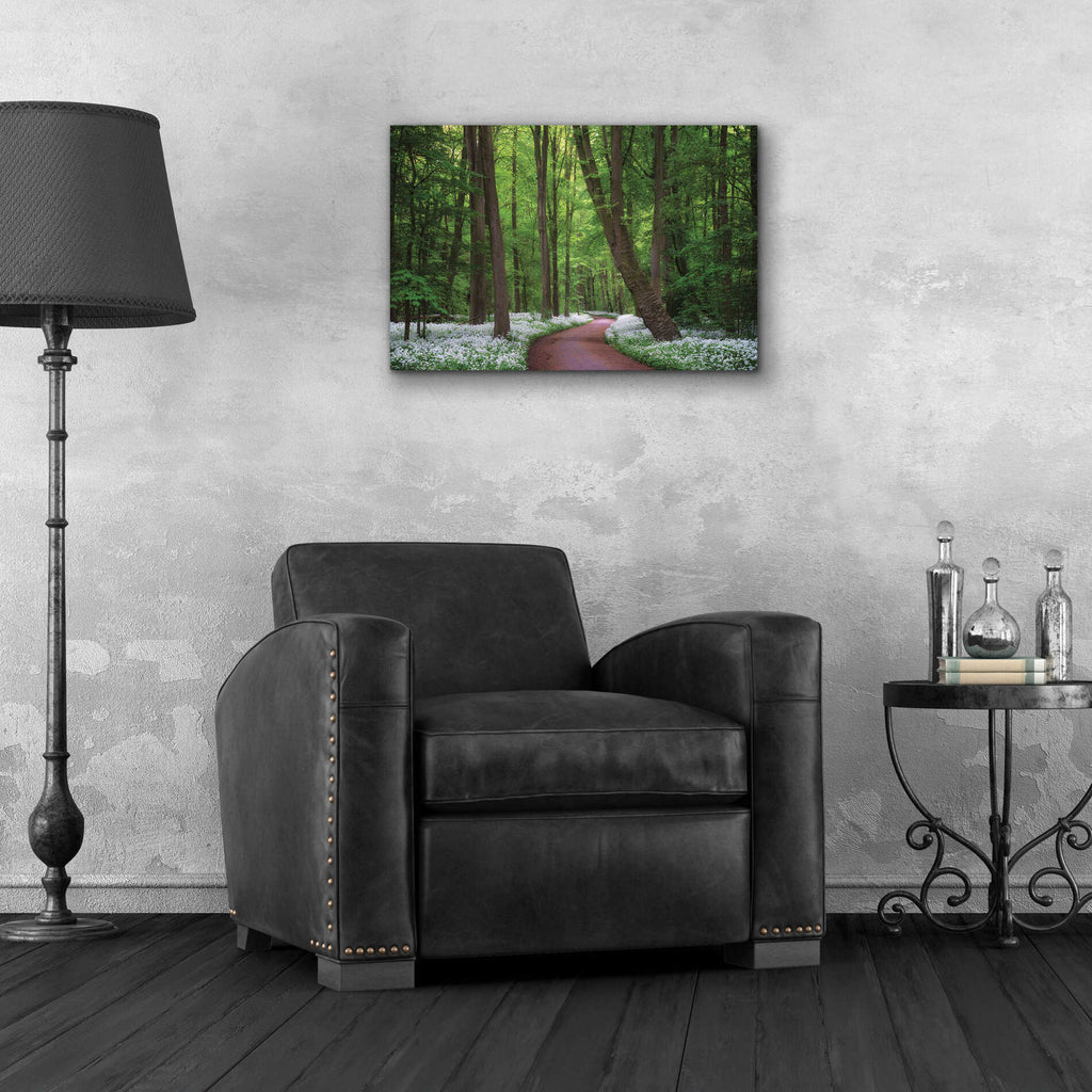 Epic Art 'Fragrant Road' by Martin Podt, Acrylic Glass Wall Art,24x16