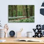 Epic Art 'White Carpet' by Martin Podt, Acrylic Glass Wall Art,16x12