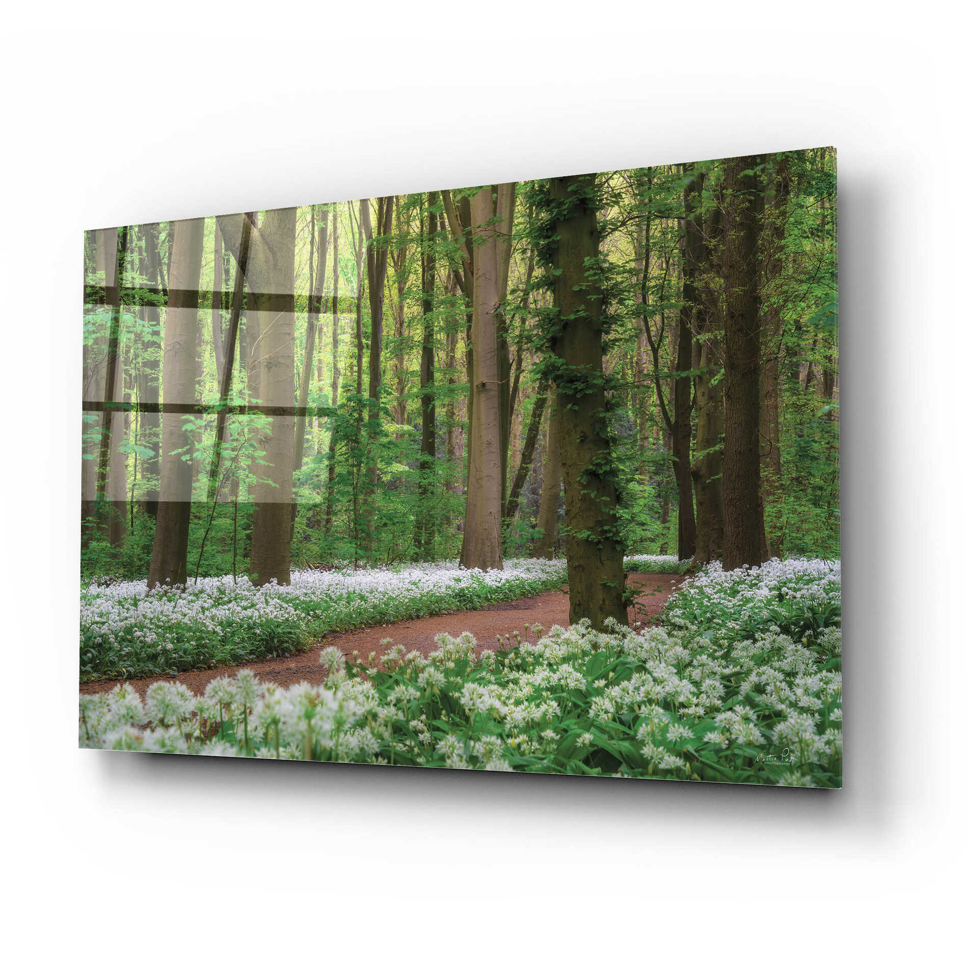 Epic Art 'White Carpet' by Martin Podt, Acrylic Glass Wall Art,24x16