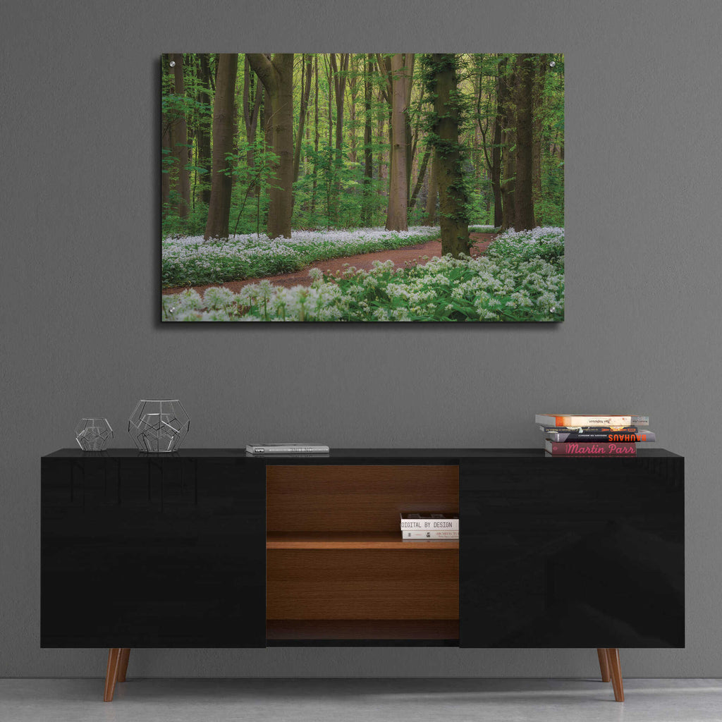 Epic Art 'White Carpet' by Martin Podt, Acrylic Glass Wall Art,36x24