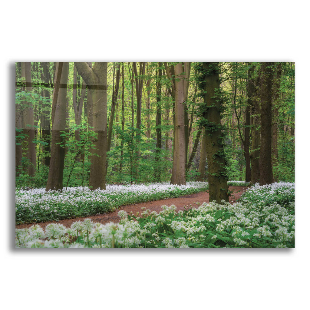 Epic Art 'White Carpet' by Martin Podt, Acrylic Glass Wall Art