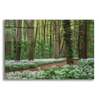 Epic Art 'White Carpet' by Martin Podt, Acrylic Glass Wall Art