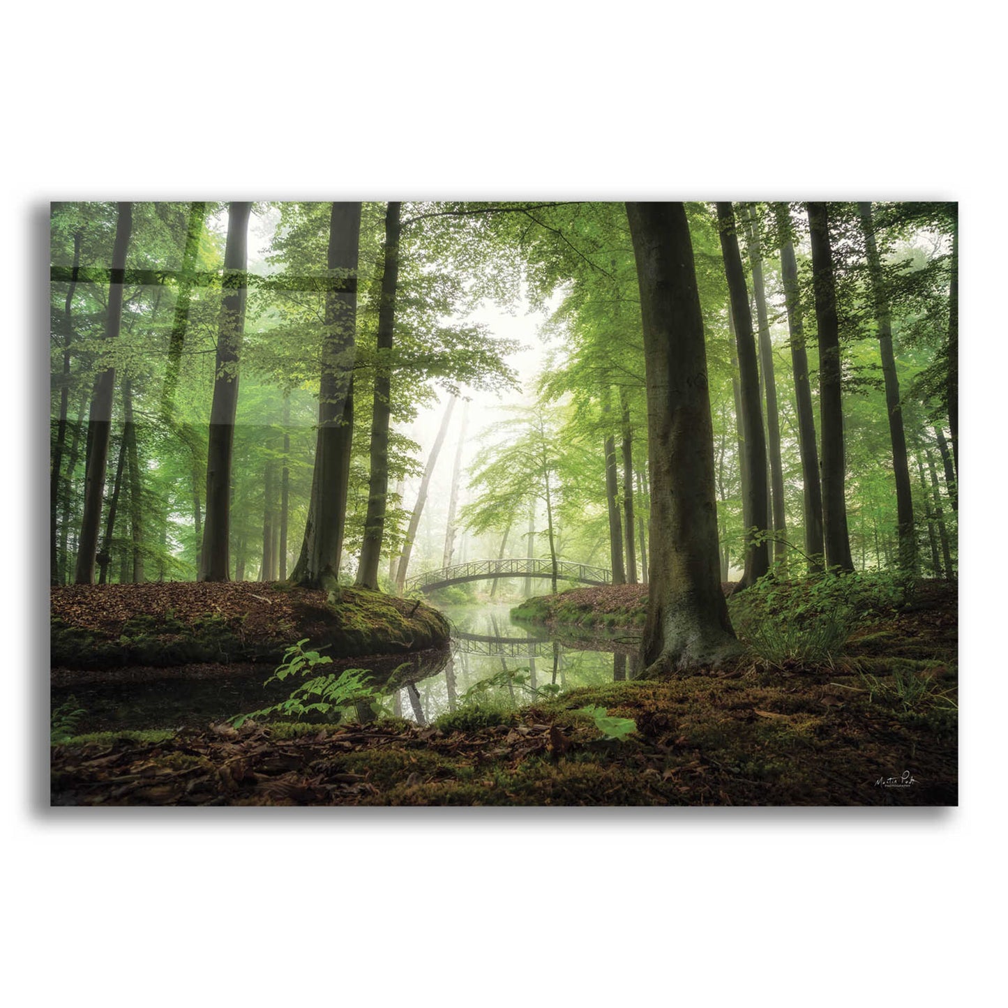Epic Art 'On a Beautiful Morning' by Martin Podt, Acrylic Glass Wall Art,16x12