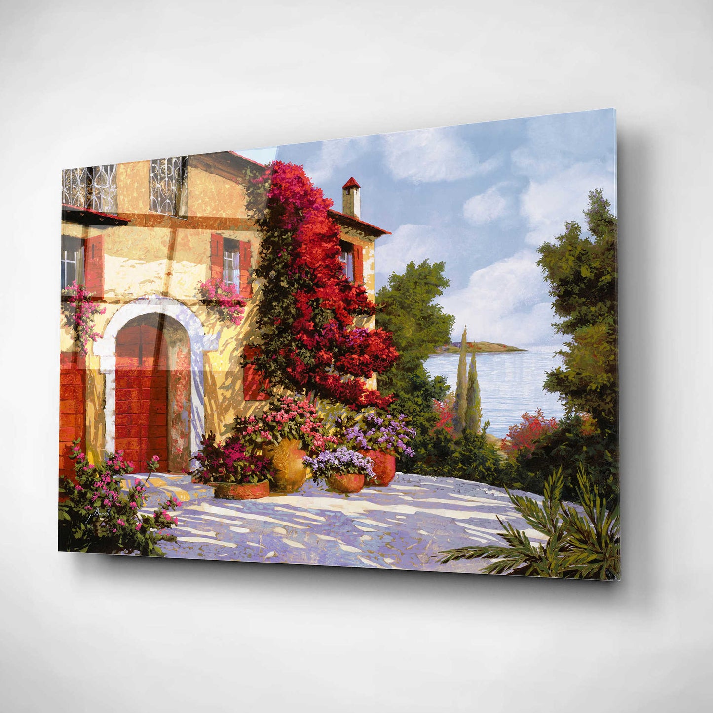 Epic Art 'Bouganville' by Guido Borelli, Acrylic Glass Wall Art,16x12