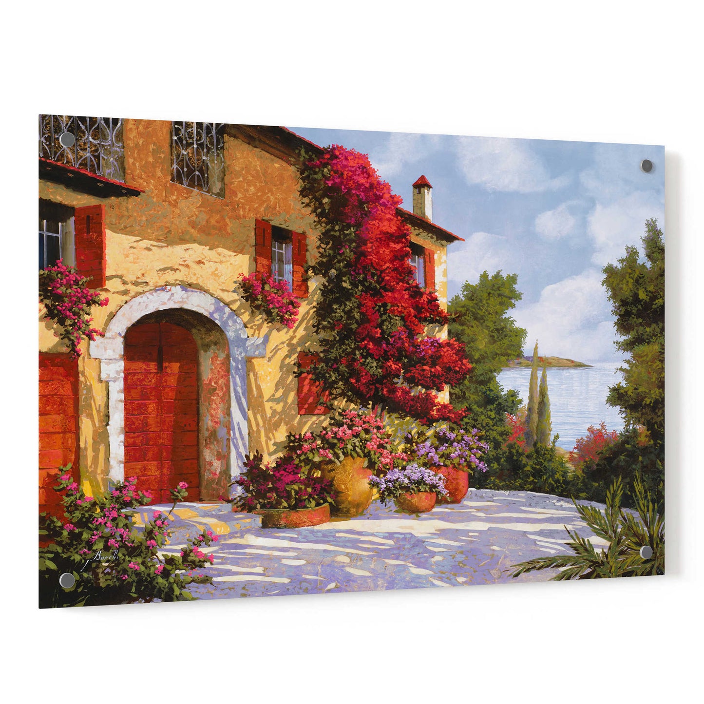 Epic Art 'Bouganville' by Guido Borelli, Acrylic Glass Wall Art,36x24