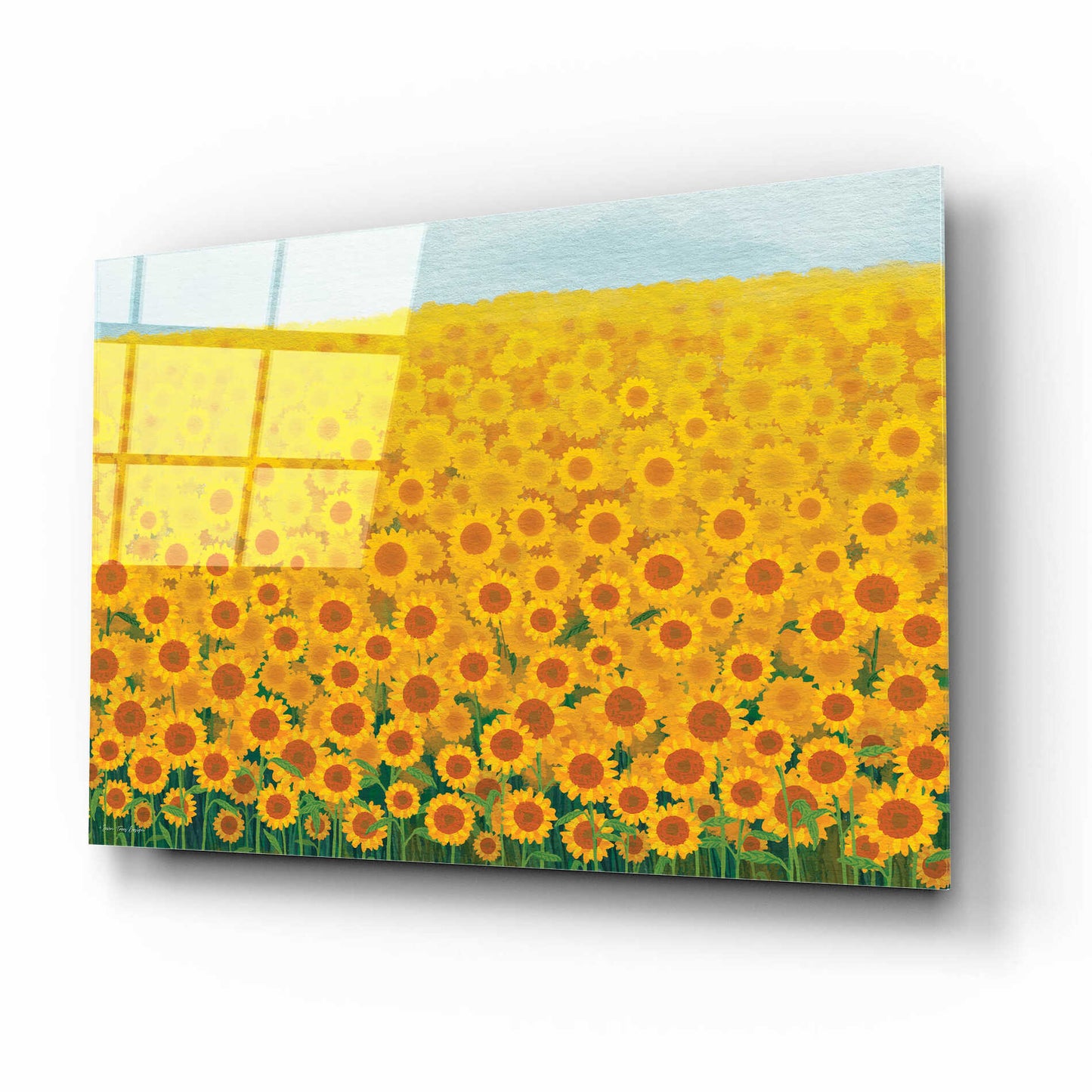 Epic Art 'Field of Sunflowers' by Seven Trees Design, Acrylic Glass Wall Art,16x12