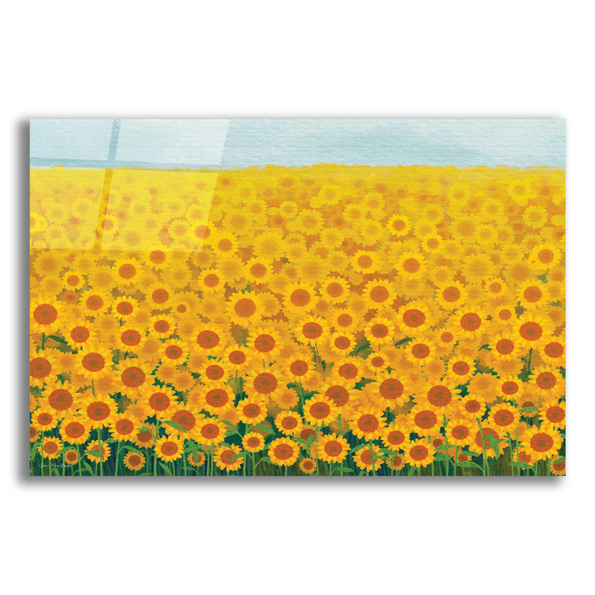 Epic Art 'Field of Sunflowers' by Seven Trees Design, Acrylic Glass Wall Art,16x12