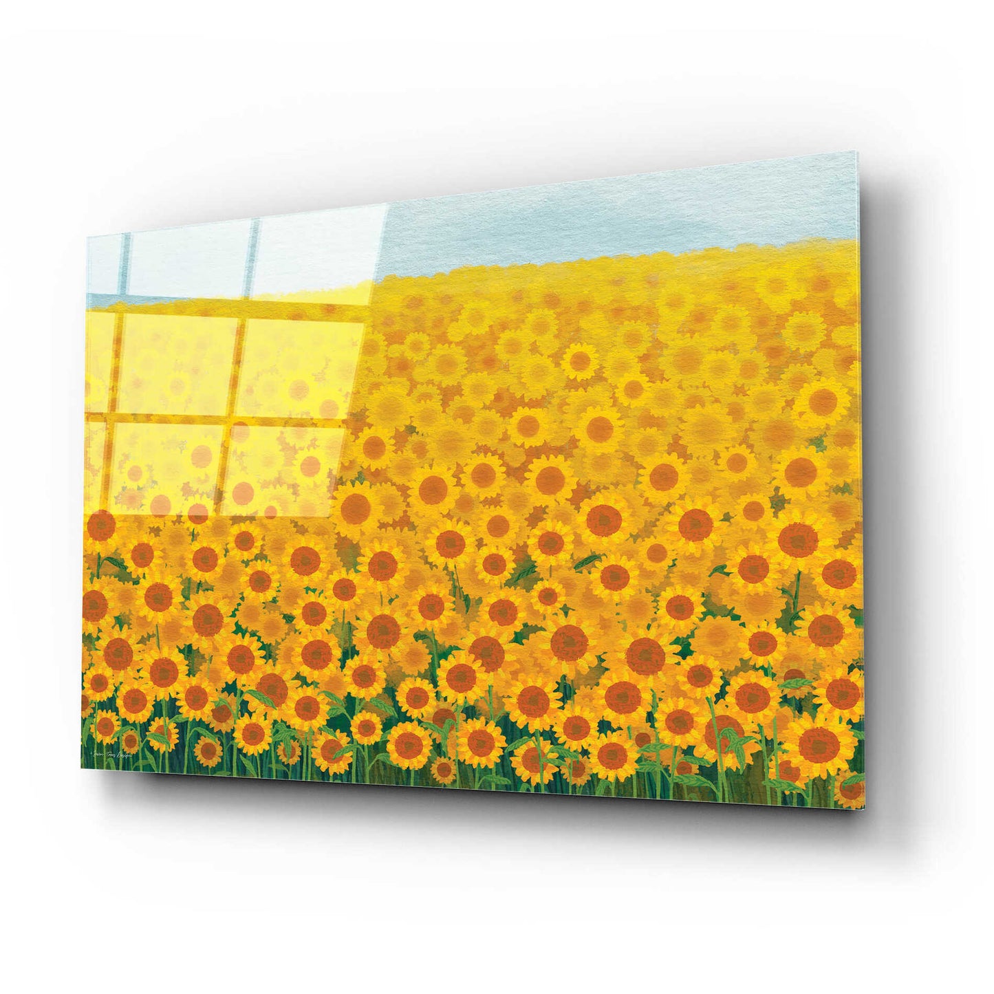 Epic Art 'Field of Sunflowers' by Seven Trees Design, Acrylic Glass Wall Art,24x16