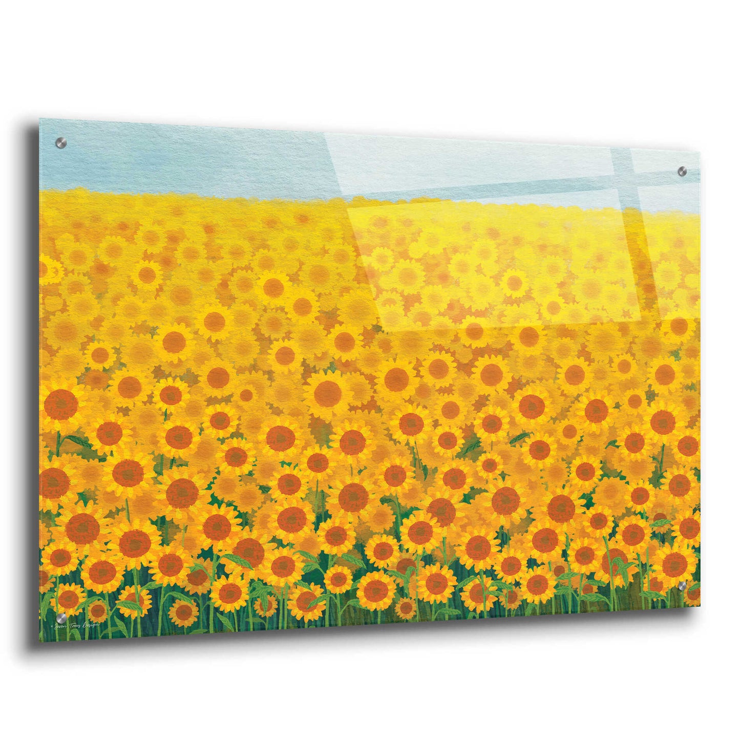 Epic Art 'Field of Sunflowers' by Seven Trees Design, Acrylic Glass Wall Art,36x24