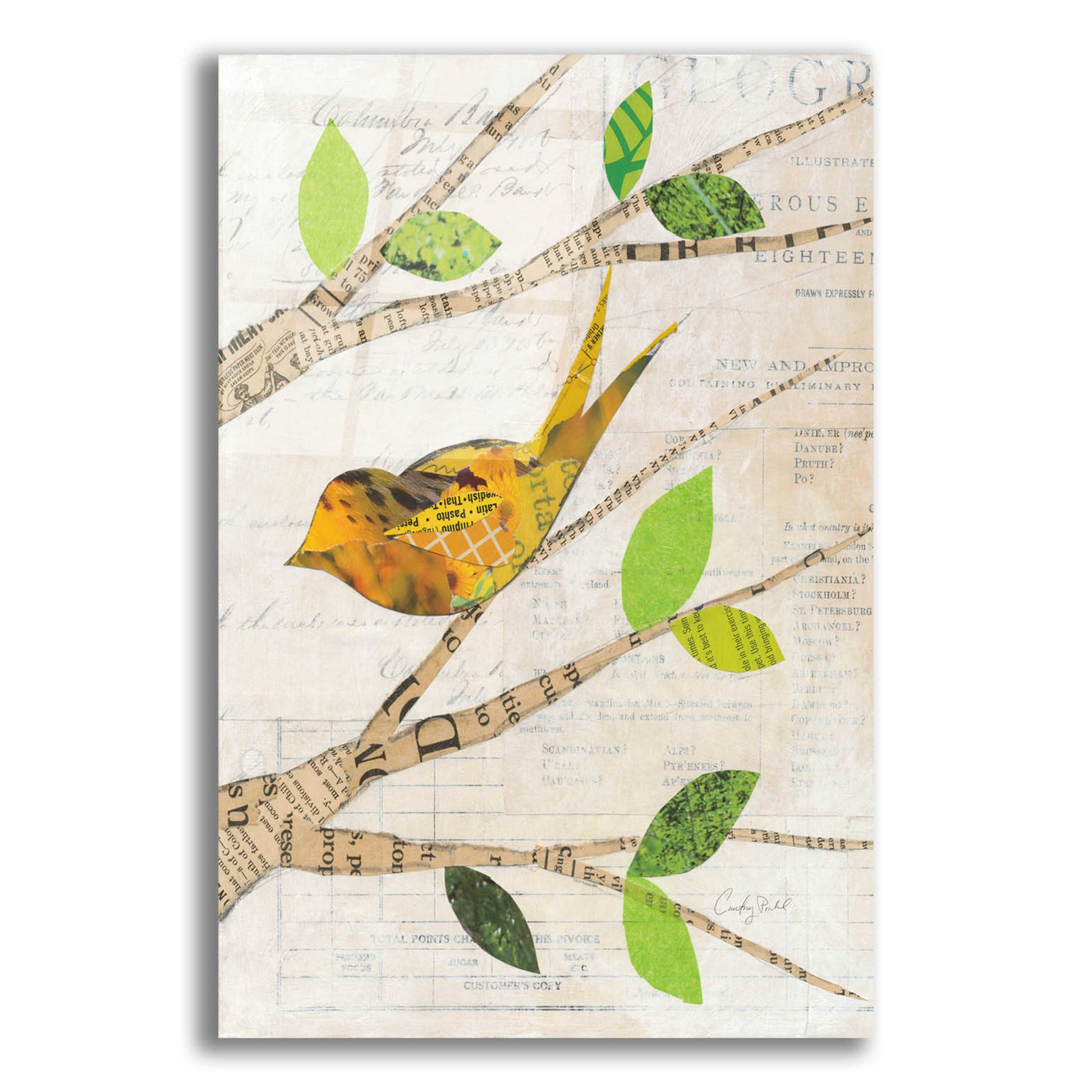 Epic Art 'Birds in Spring II' by Courtney Prahl, Acrylic Glass Wall Art,16x24