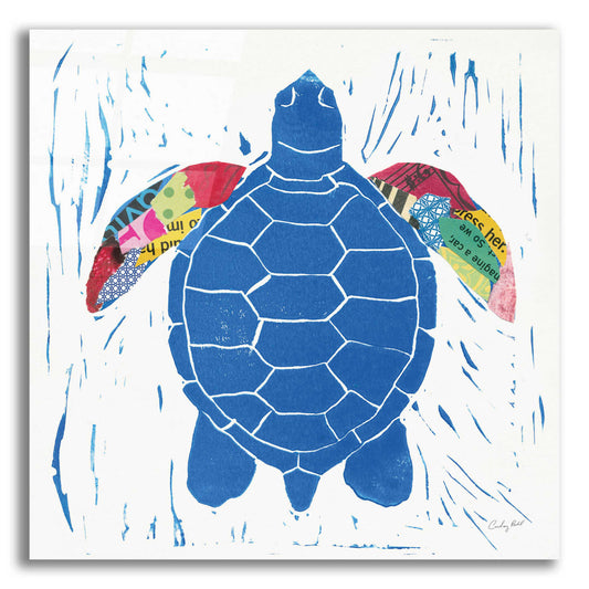 Epic Art 'Sea Creature Turtle Color' by Courtney Prahl, Acrylic Glass Wall Art