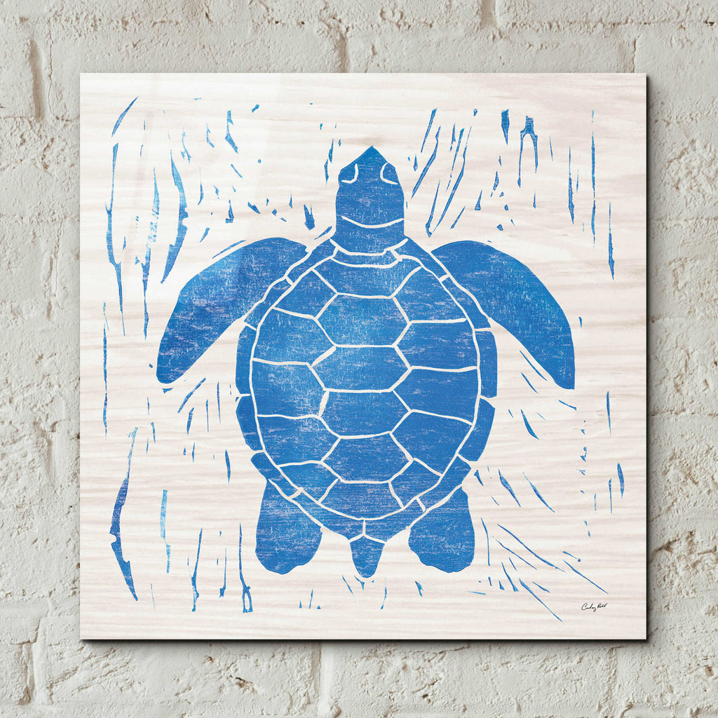 Epic Art 'Sea Creature Turtle Blue' by Courtney Prahl, Acrylic Glass Wall Art,12x12