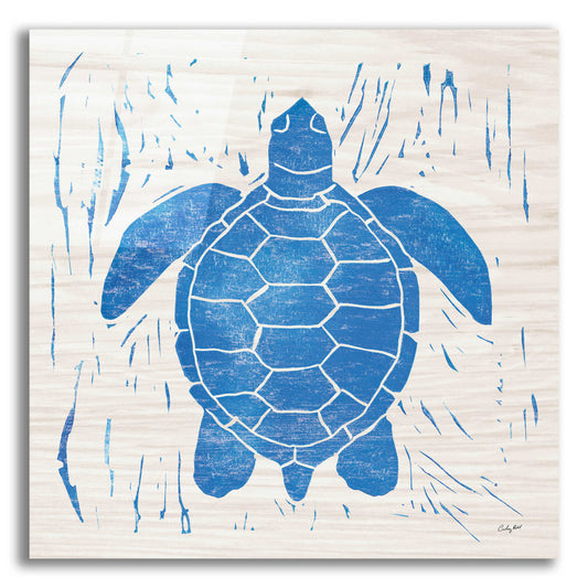 Epic Art 'Sea Creature Turtle Blue' by Courtney Prahl, Acrylic Glass Wall Art