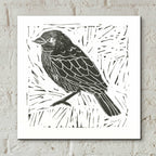 Epic Art 'Bird Element I' by Courtney Prahl, Acrylic Glass Wall Art,12x12