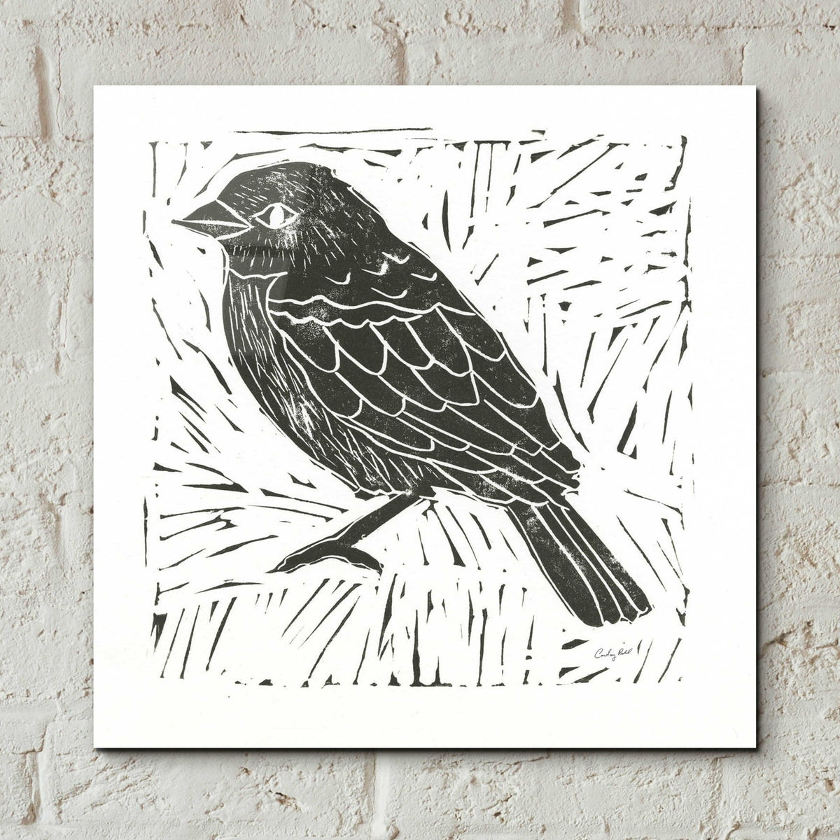 Epic Art 'Bird Element I' by Courtney Prahl, Acrylic Glass Wall Art,12x12