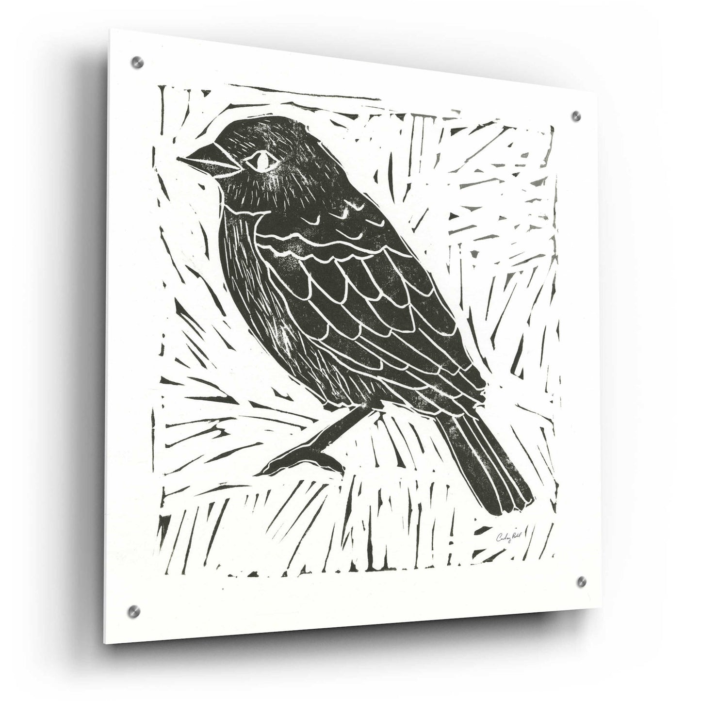 Epic Art 'Bird Element I' by Courtney Prahl, Acrylic Glass Wall Art,24x24