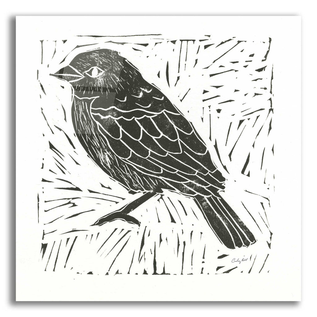 Epic Art 'Bird Element I' by Courtney Prahl, Acrylic Glass Wall Art