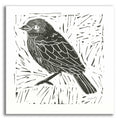 Epic Art 'Bird Element I' by Courtney Prahl, Acrylic Glass Wall Art
