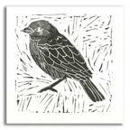 Epic Art 'Bird Element I' by Courtney Prahl, Acrylic Glass Wall Art