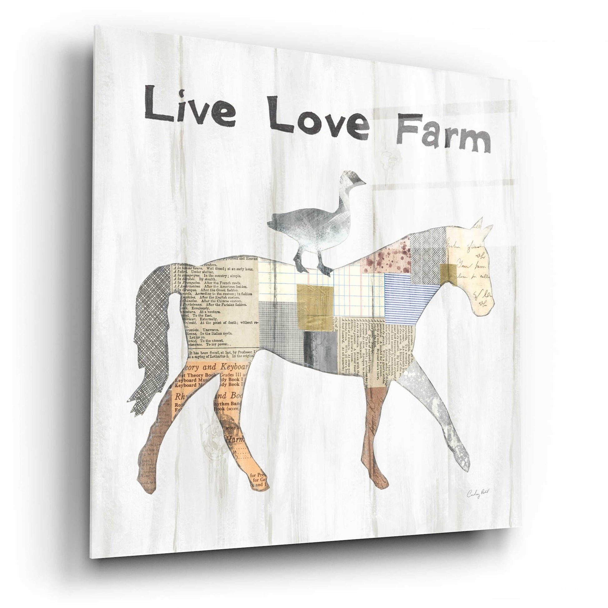 Epic Art 'Farm Family V' by Courtney Prahl, Acrylic Glass Wall Art,12x12