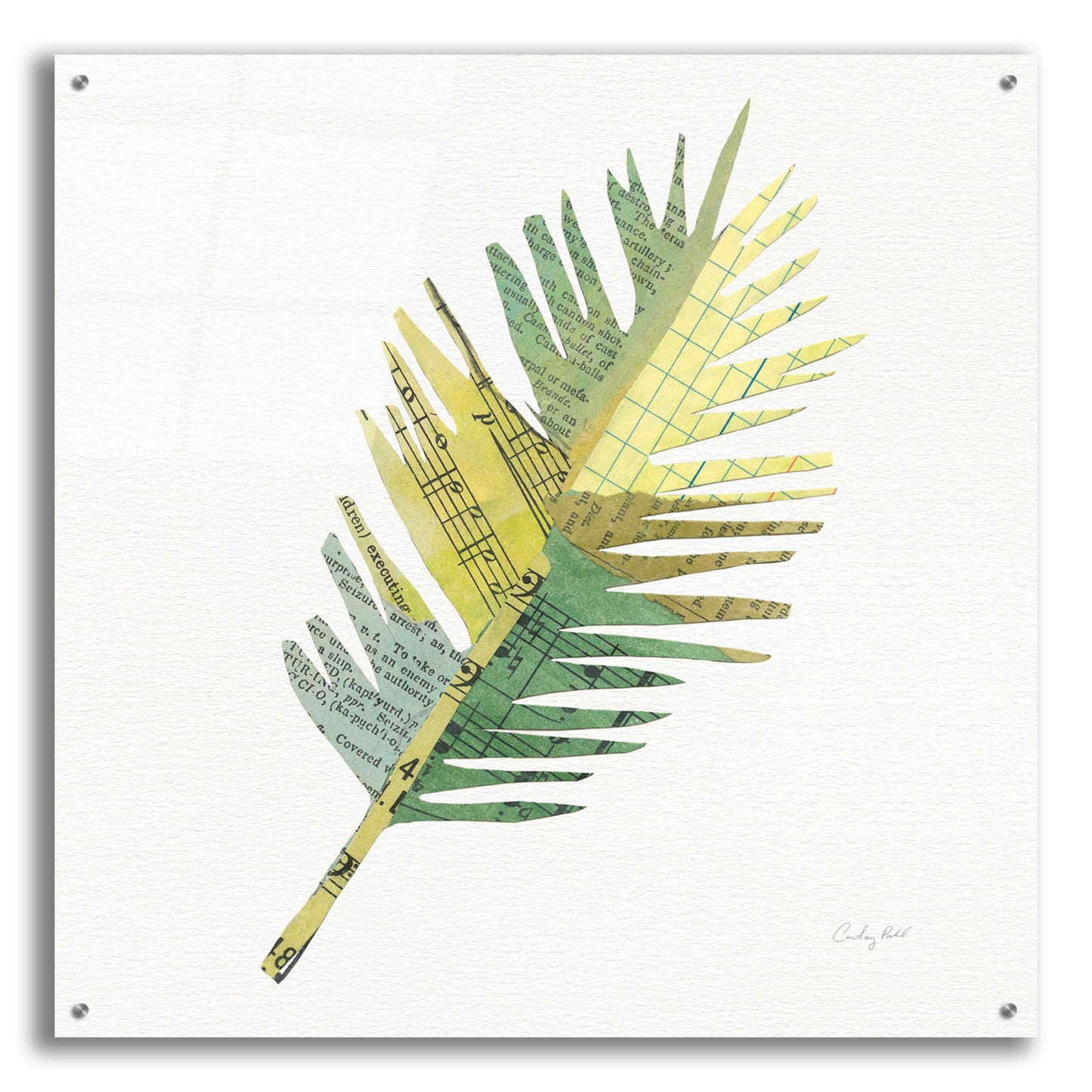 Epic Art 'Tropical Fun Palms I' by Courtney Prahl, Acrylic Glass Wall Art,36x36