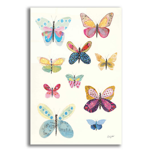 Epic Art 'Butterfly Charts I by Courtney Prahl, Acrylic Glass Wall Art