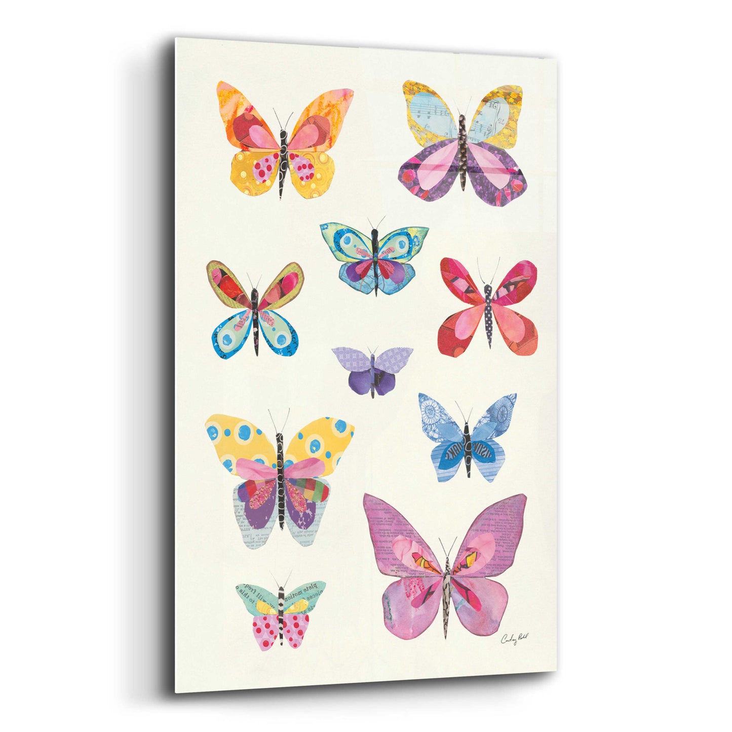 Epic Art 'Butterfly Charts II by Courtney Prahl, Acrylic Glass Wall Art,12x16