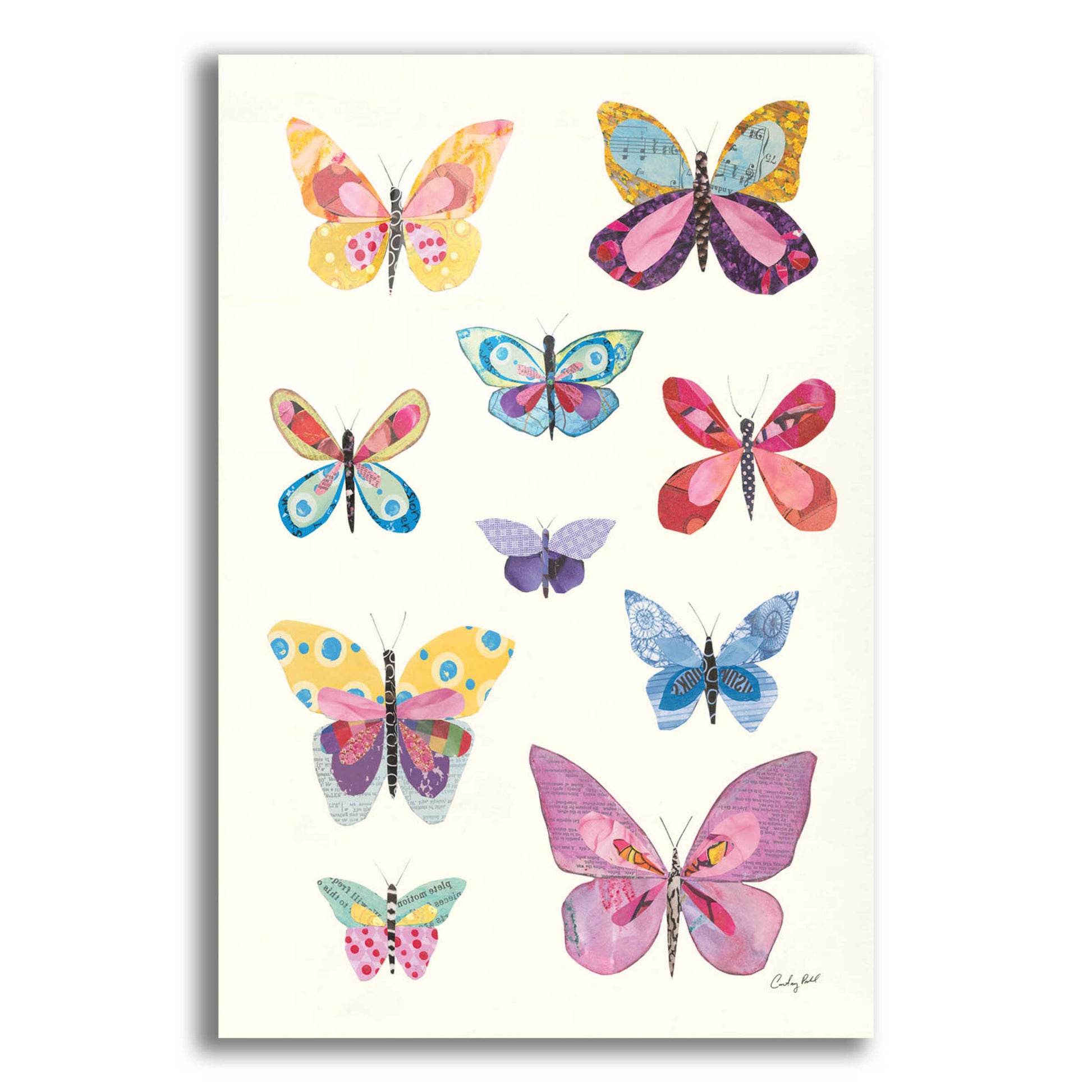 Epic Art 'Butterfly Charts II by Courtney Prahl, Acrylic Glass Wall Art,12x16