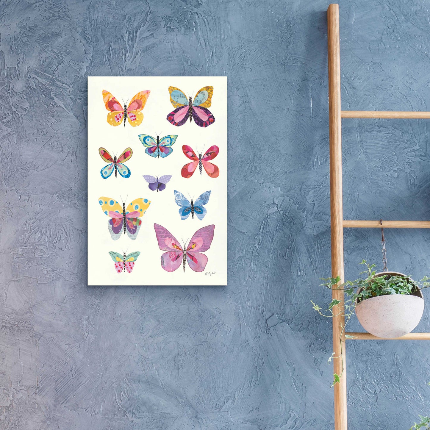 Epic Art 'Butterfly Charts II by Courtney Prahl, Acrylic Glass Wall Art,16x24