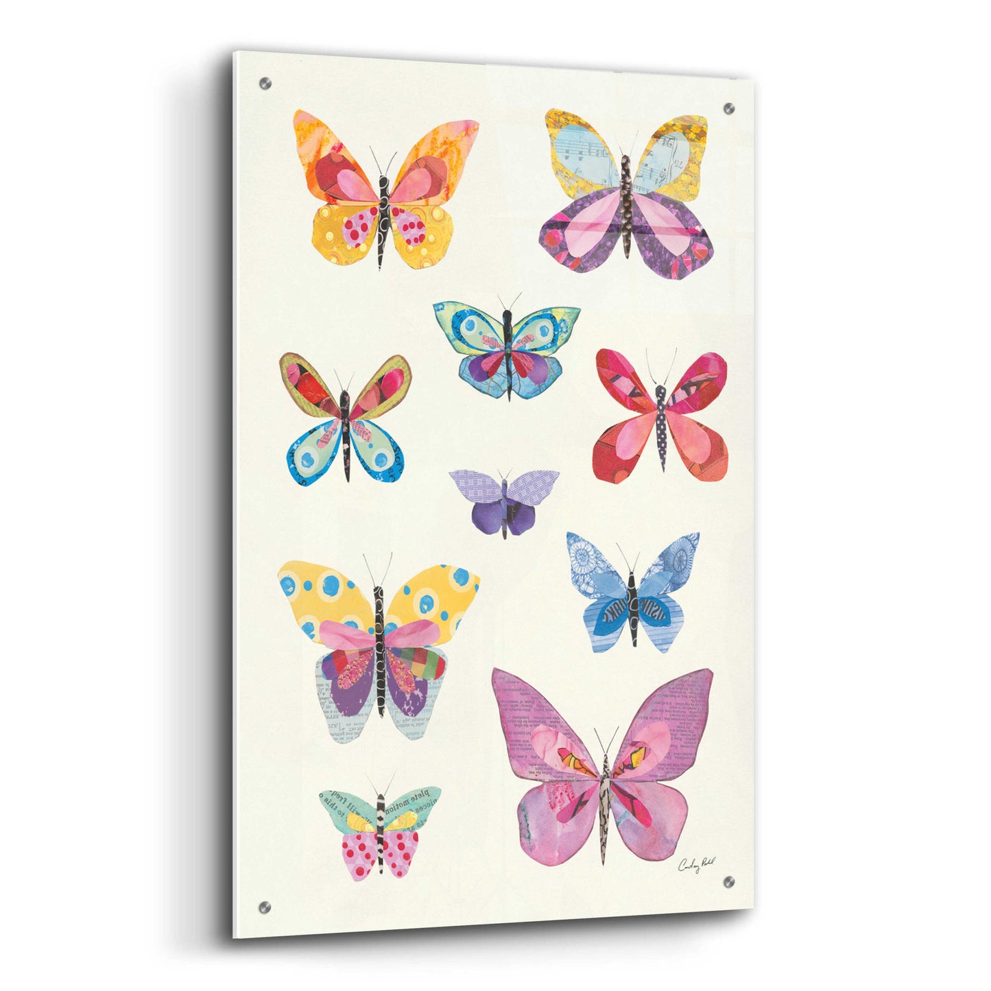 Epic Art 'Butterfly Charts II by Courtney Prahl, Acrylic Glass Wall Art,24x36