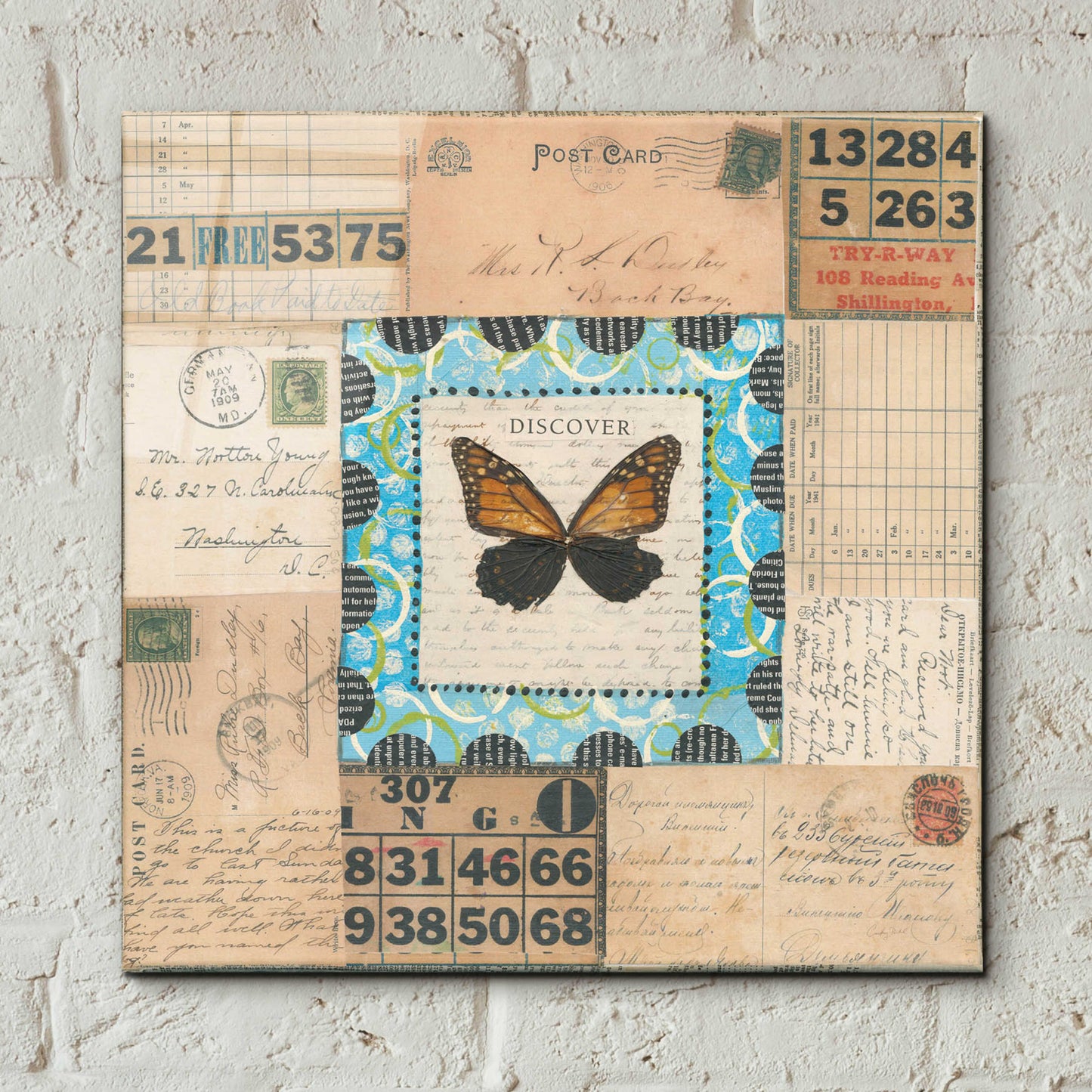 Epic Art 'Discover Butterfly by Courtney Prahl, Acrylic Glass Wall Art,12x12