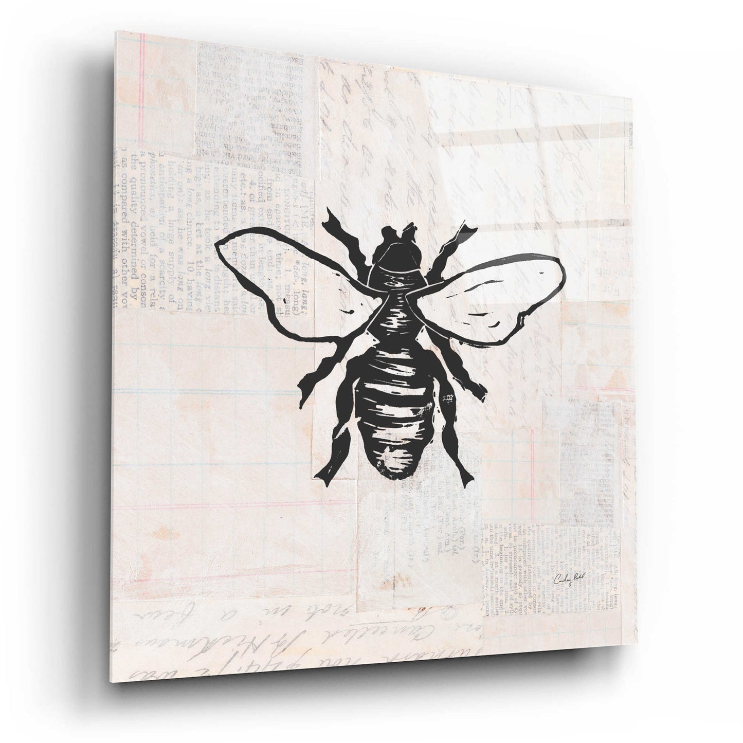 Epic Art 'Bee Stamp BW by Courtney Prahl, Acrylic Glass Wall Art,12x12