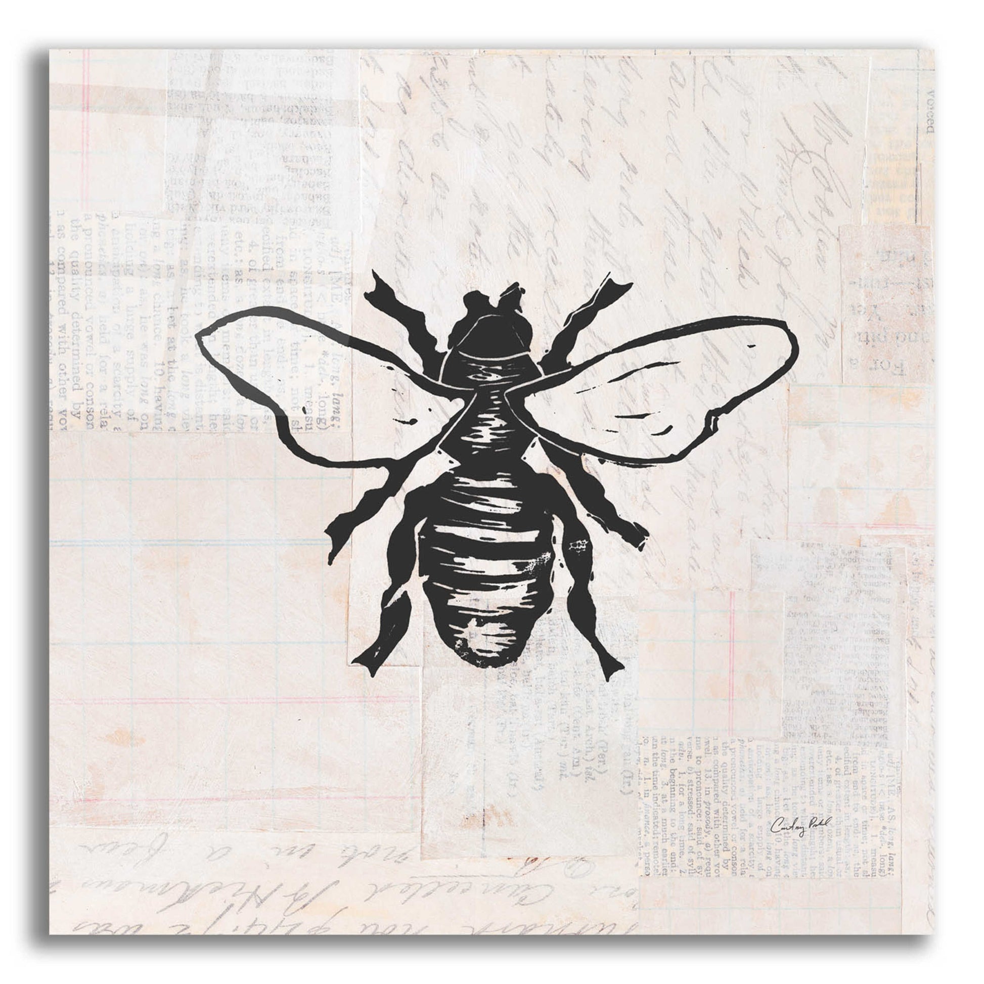 Epic Art 'Bee Stamp BW by Courtney Prahl, Acrylic Glass Wall Art,12x12