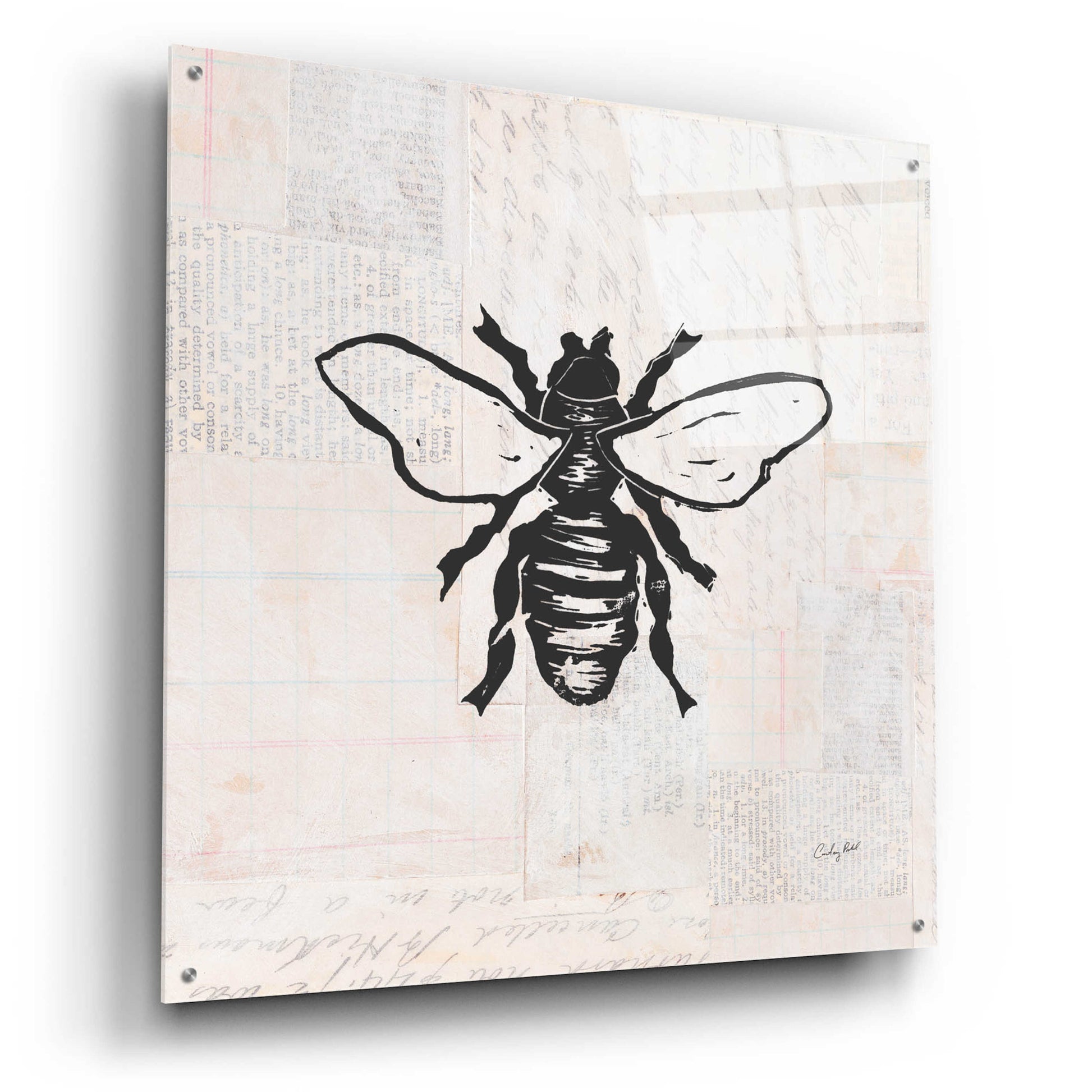 Epic Art 'Bee Stamp BW by Courtney Prahl, Acrylic Glass Wall Art,36x36