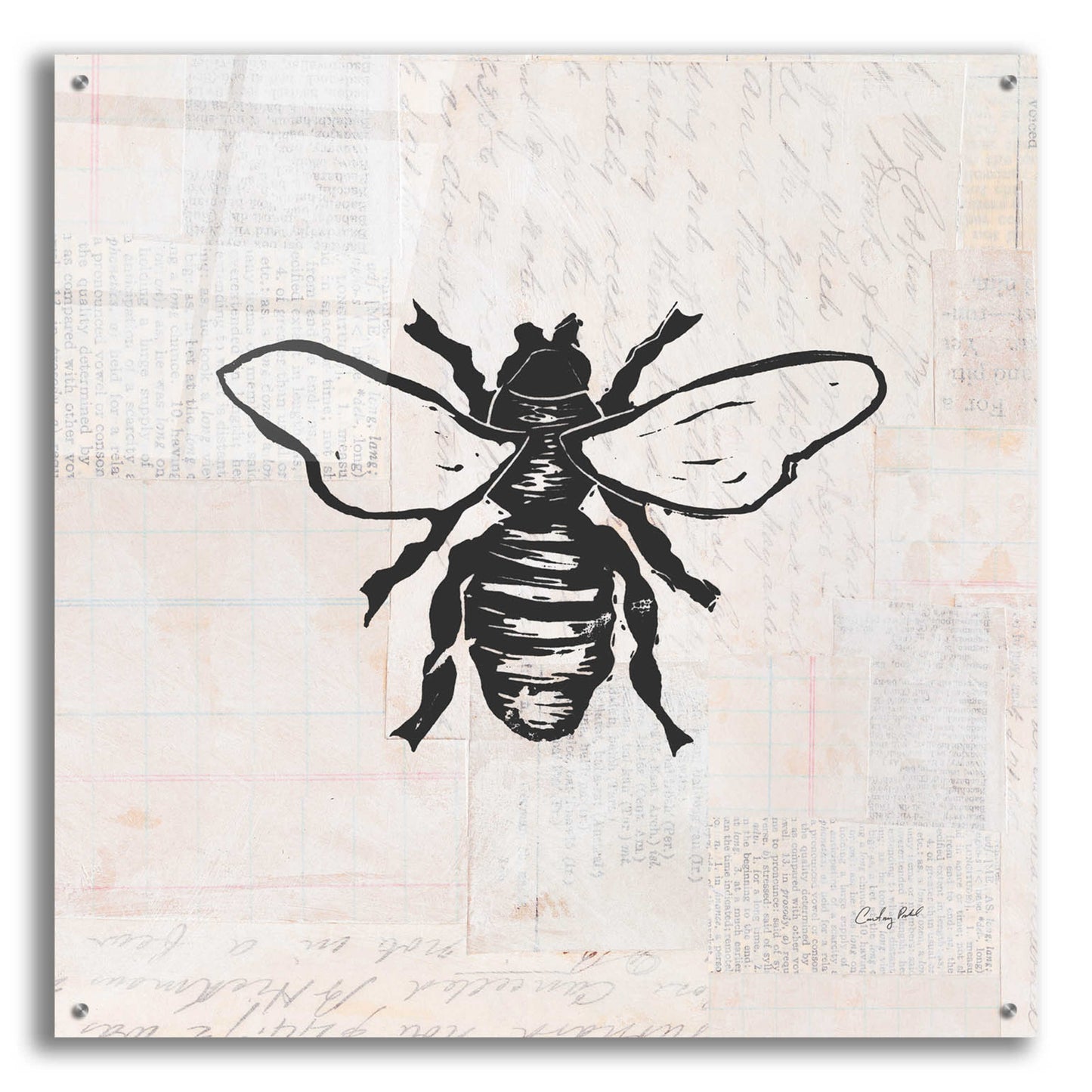 Epic Art 'Bee Stamp BW by Courtney Prahl, Acrylic Glass Wall Art,36x36