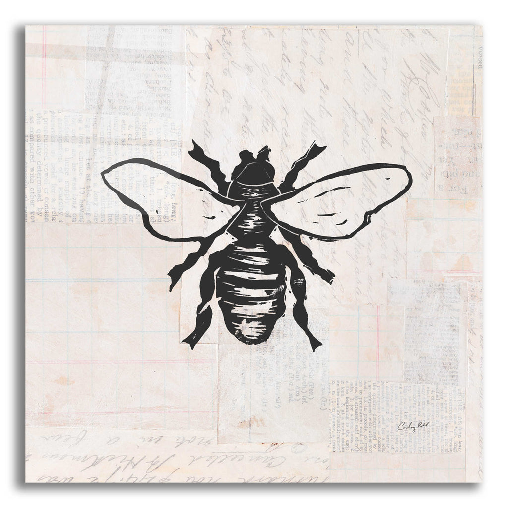 Epic Art 'Bee Stamp BW by Courtney Prahl, Acrylic Glass Wall Art