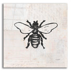 Epic Art 'Bee Stamp BW by Courtney Prahl, Acrylic Glass Wall Art