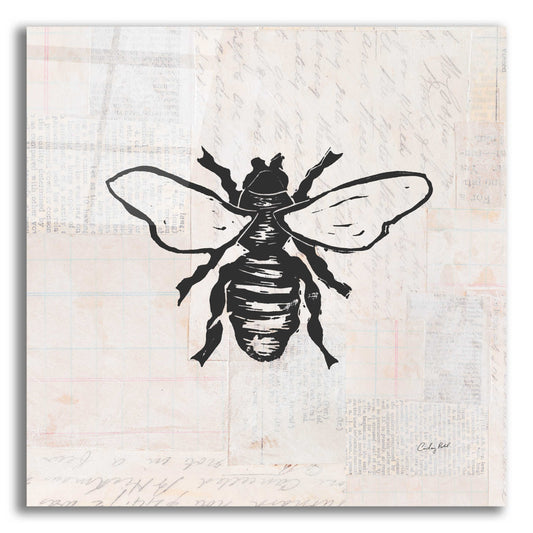 Epic Art 'Bee Stamp BW by Courtney Prahl, Acrylic Glass Wall Art