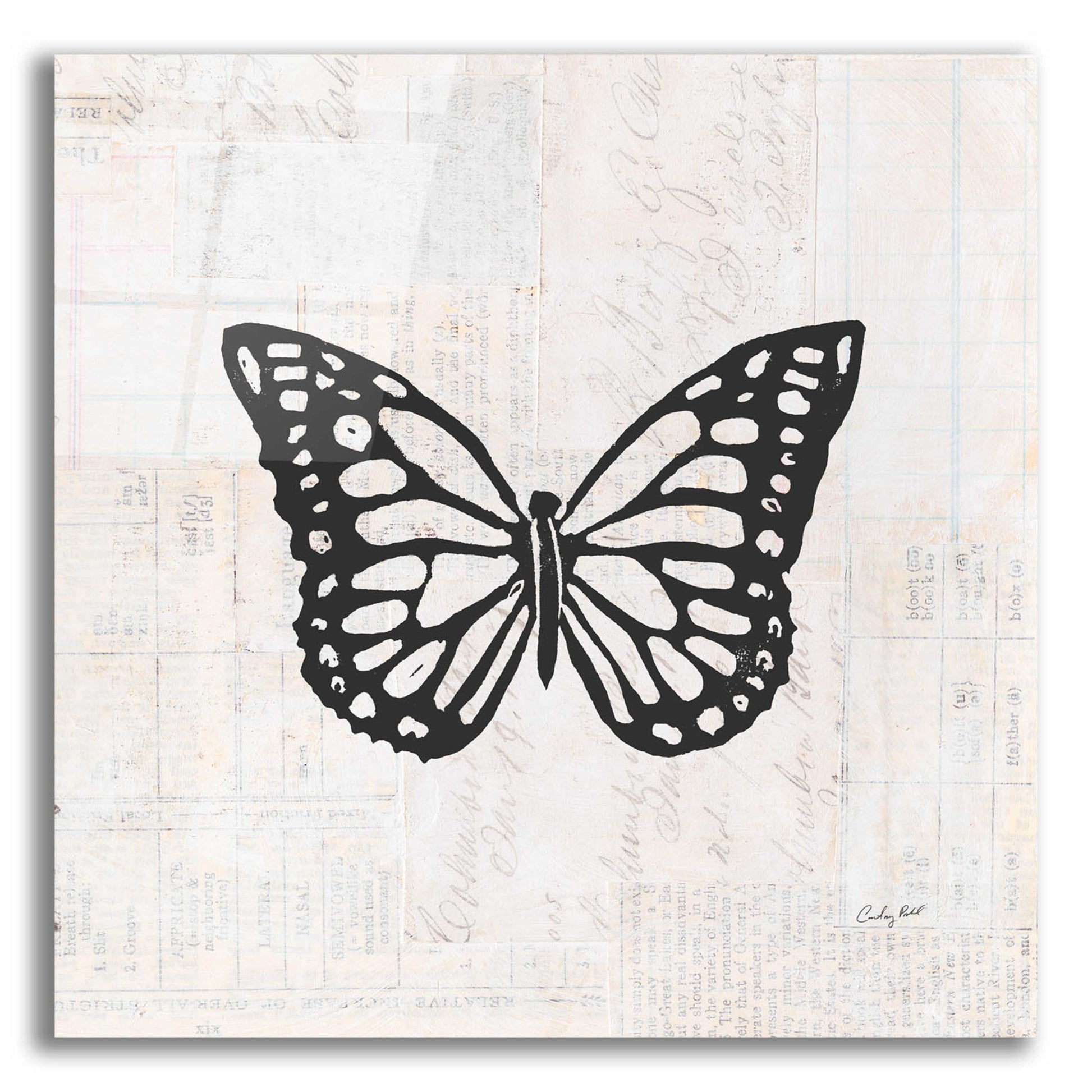 Epic Art 'Butterfly Stamp BW by Courtney Prahl, Acrylic Glass Wall Art,12x12